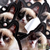 Grumpy Cat Glossy Stickers